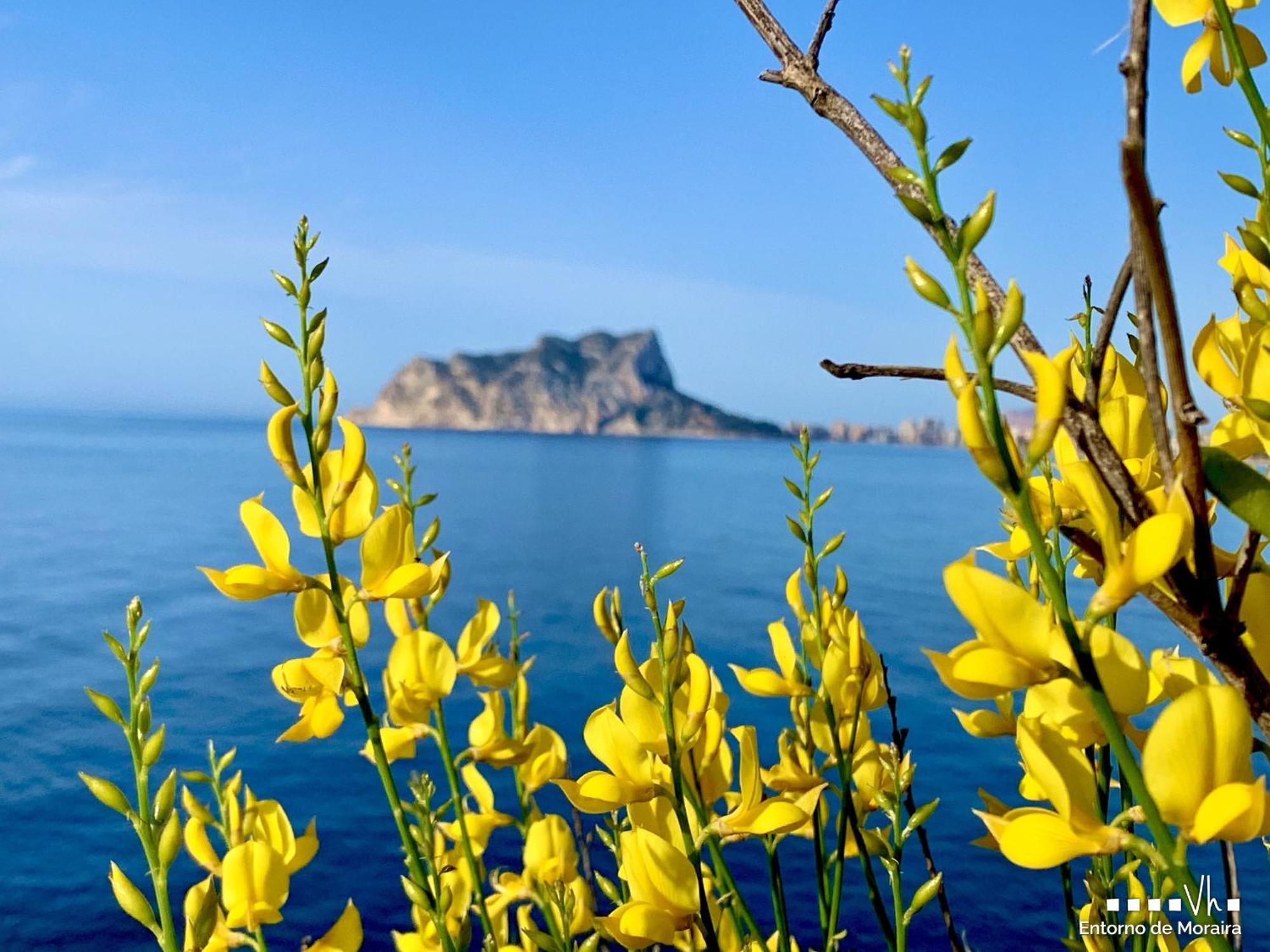 Vh Costablanca - Carmen Villa Moraira Eksteriør billede